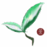Shaoguan Tea site icon