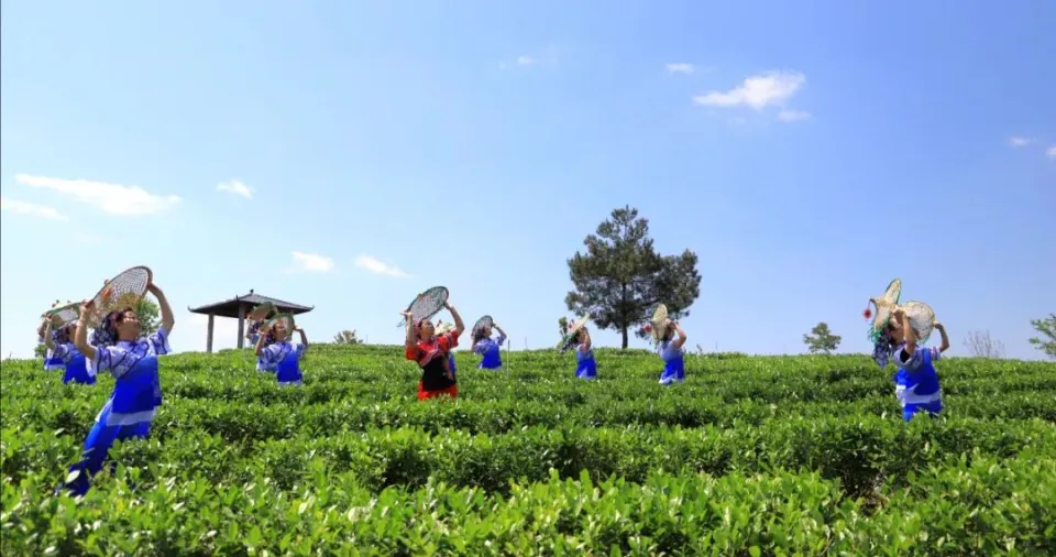 Group of Yao ethnic women in traditional costumes and bamboo hats dancing among tea bushes in Luokeng, Shaoguan, with blue sky and white clouds in the background — celebrating tea heritage